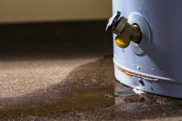 Reliable Lake Los Angeles, CA Water damage restoration Solutions