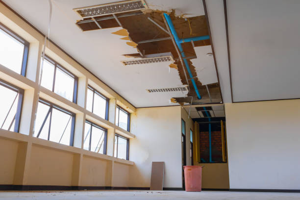 Best Commercial water damage restoration  in Lake Los Angeles, CA