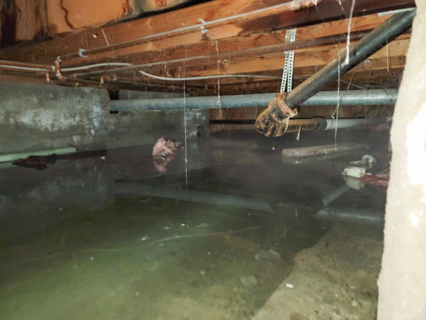 Water damage restoration experts in Lake Los Angeles, CA