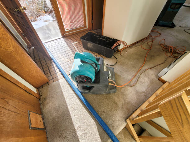 Best Sewage cleanup and water damage restoration  in Lake Los Angeles, CA