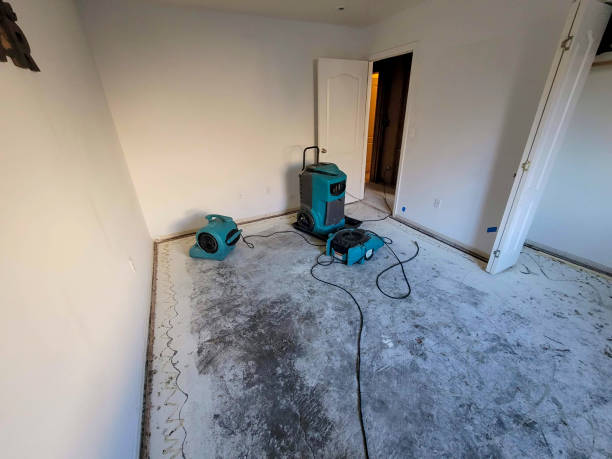 Best Residential water damage restoration  in Lake Los Angeles, CA